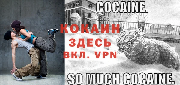 альфа пвп Дмитровск
