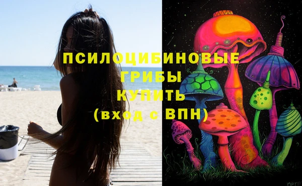 альфа пвп Дмитровск
